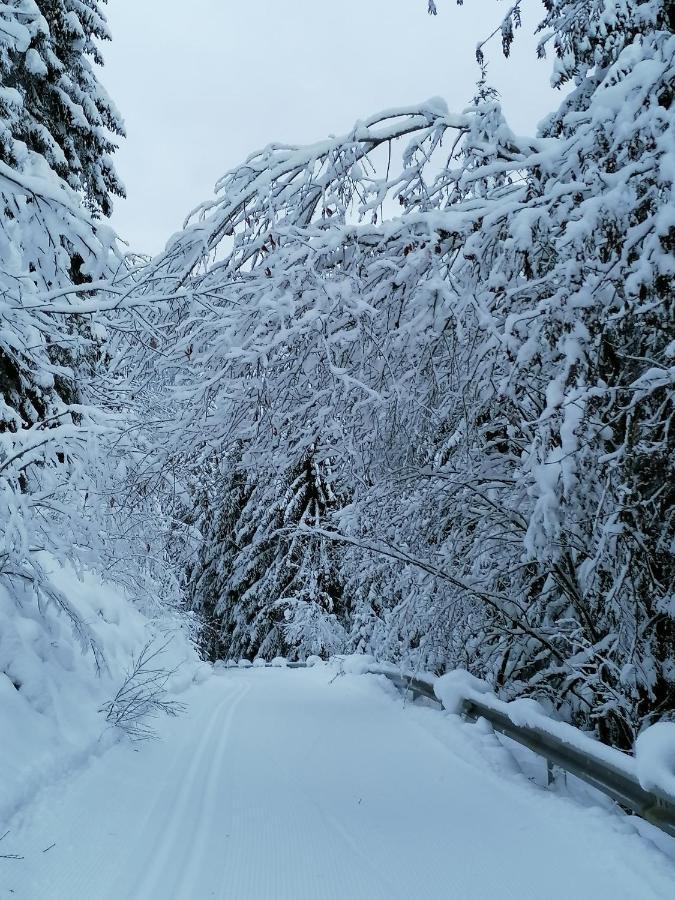Mooshof Lägenhet Kaunertal Exteriör bild